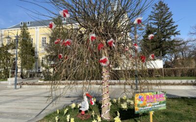 Включихме се в инициативата “Украси дърво или храст за първи март”
